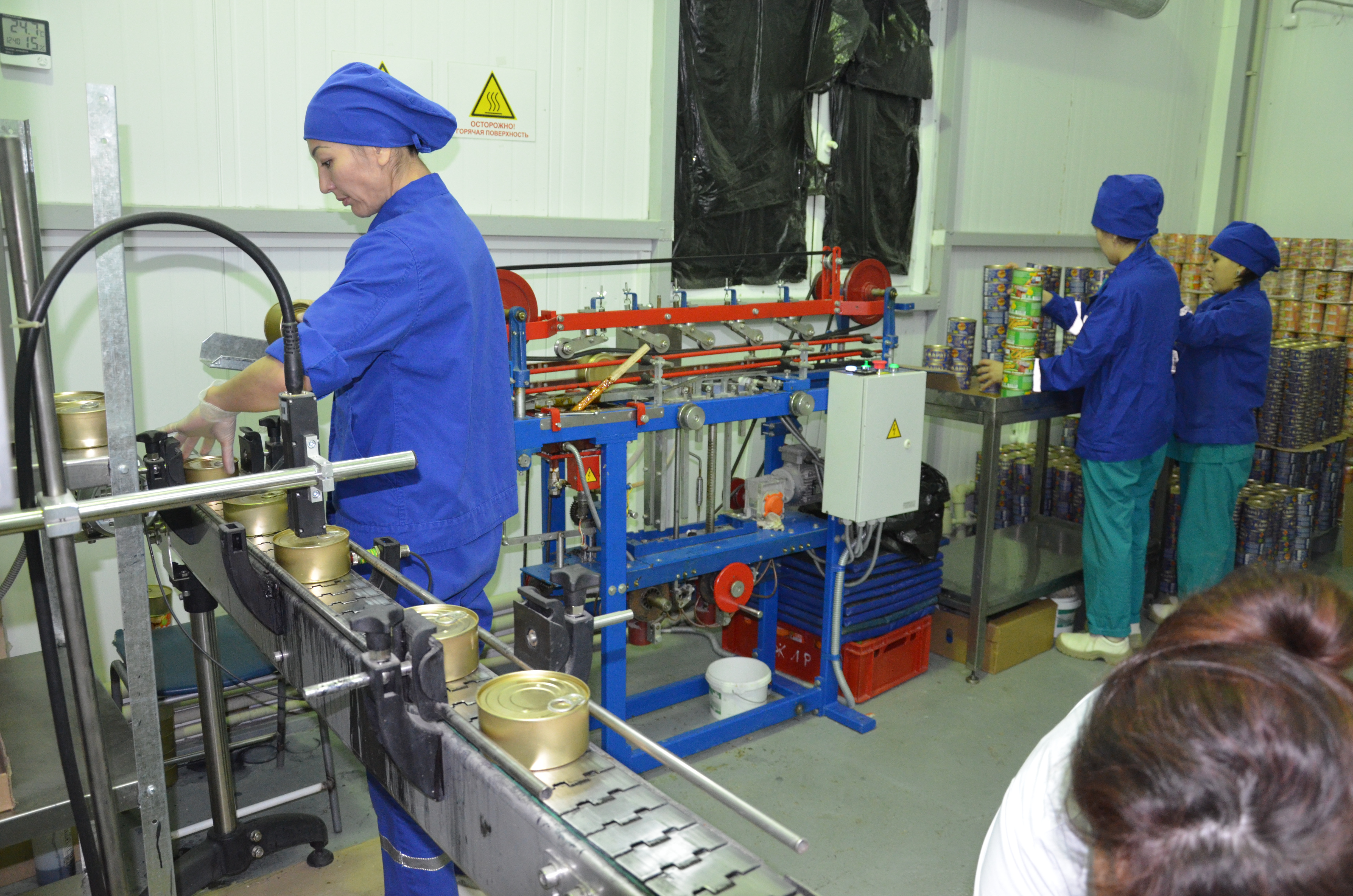 Консервы из казы