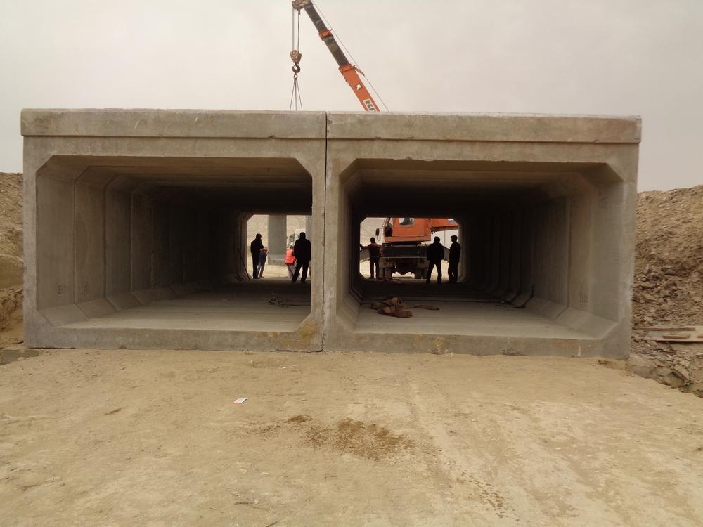 Алтын сапа: И профессионалам нужно признание