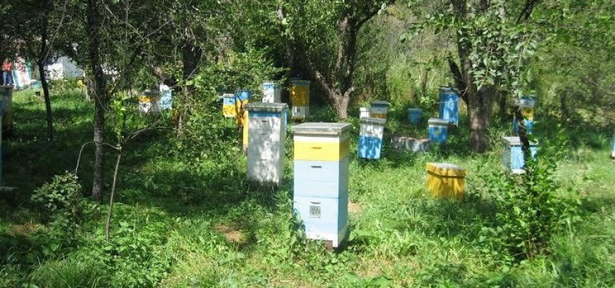 Выбираем «Лучший товар Казахстана»: ТОО «Kaz-Ir Agro» в Жамбылской области